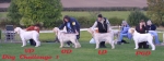 Dateiname=Dog-Challenge1.jpg
Dateigröße=51KB
Abmessungen: 550x208
hinzugefügt am: 14. September 2009 Dog-Challenge1.jpg