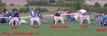 Filename=DogChallenge2.jpg
Filesize=47KiB
Dimensions=550x190
Date added=Sep 14, 2009 DogChallenge2.jpg