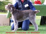 Filename=H-Finocchia.jpg
Filesize=50KiB
Dimensions=550x409
Date added=Sep 14, 2009 H-Finocchia.jpg
