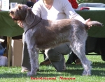 Filename=I-Nanna.jpg
Filesize=45KiB
Dimensions=550x436
Date added=Sep 14, 2009 I-Nanna.jpg