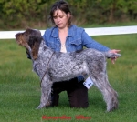 Filename=K-Whes.jpg
Filesize=49KiB
Dimensions=550x493
Date added=Sep 14, 2009 K-Whes.jpg