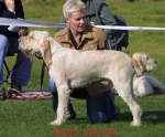 Filename=S-Nettezza.jpg
Filesize=45KiB
Dimensions=550x455
Date added=Sep 14, 2009 S-Nettezza.jpg