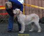 Filename=W-Devine.jpg
Filesize=43KiB
Dimensions=483x397
Date added=Sep 14, 2009 W-Devine.jpg