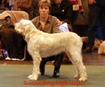 Filename=B-HighHopes.jpg
Filesize=43KiB
Dimensions=550x455
Date added=Sep 14, 2009 B-HighHopes.jpg