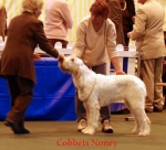 Filename=C-Noney.jpg
Filesize=46KiB
Dimensions=550x501
Date added=Sep 14, 2009 C-Noney.jpg