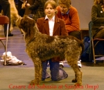 Filename=Cesare.jpg
Filesize=51KiB
Dimensions=550x475
Date added=Sep 14, 2009 Cesare.jpg