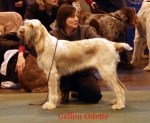 Filename=G-Oddette.jpg
Filesize=56KiB
Dimensions=550x453
Date added=Sep 14, 2009 G-Oddette.jpg