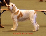 Filename=G-StarTurn.jpg
Filesize=46KiB
Dimensions=550x432
Date added=Sep 14, 2009 G-StarTurn.jpg
