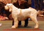 Filename=G-StarsSymphony.jpg
Filesize=46KiB
Dimensions=550x393
Date added=Sep 14, 2009 G-StarsSymphony.jpg