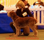 Filename=H-Finocchia.jpg
Filesize=44KiB
Dimensions=550x501
Date added=Sep 14, 2009 H-Finocchia.jpg