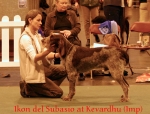 Dateiname=Ikon-DelSubasio.jpg
Dateigröße=57KB
Abmessungen: 550x419
hinzugefügt am: 14. September 2009 Ikon-DelSubasio.jpg