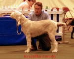 Dateiname=K-Zonoby.jpg
Dateigröße=55KB
Abmessungen: 550x442
hinzugefügt am: 14. September 2009 K-Zonoby.jpg