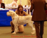 Dateiname=M-MoonRiver.jpg
Dateigröße=52KB
Abmessungen: 550x450
hinzugefügt am: 14. September 2009 M-MoonRiver.jpg