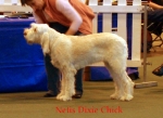 Filename=N-DixieChick.jpg
Filesize=50KiB
Dimensions=550x402
Date added=Sep 14, 2009 N-DixieChick.jpg