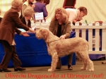 Filename=O-Dragoncello.jpg
Filesize=55KiB
Dimensions=550x412
Date added=Sep 14, 2009 O-Dragoncello.jpg