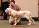Filename=S-Basil.jpg
Filesize=52KiB
Dimensions=550x406
Date added=Sep 14, 2009 S-Basil.jpg