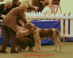 Filename=S-Latino.jpg
Filesize=48KiB
Dimensions=550x439
Date added=Sep 14, 2009 S-Latino.jpg
