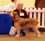 Filename=S-Matisse.jpg
Filesize=45KiB
Dimensions=550x501
Date added=Sep 14, 2009 S-Matisse.jpg