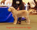 Filename=S-Tetrazzini.jpg
Filesize=57KiB
Dimensions=550x449
Date added=Sep 14, 2009 S-Tetrazzini.jpg