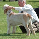 Filename=A-Nigel.jpg
Filesize=52KiB
Dimensions=550x553
Date added=Sep 14, 2009 A-Nigel.jpg