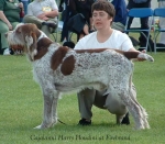 Filename=C-Harry-Houdini.jpg
Filesize=53KiB
Dimensions=550x482
Date added=Sep 14, 2009 C-Harry-Houdini.jpg
