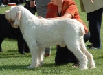 Filename=R-Pedro.jpg
Filesize=53KiB
Dimensions=550x403
Date added=Sep 14, 2009 R-Pedro.jpg