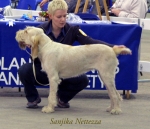 Filename=S-Nettezza.jpg
Filesize=54KiB
Dimensions=550x474
Date added=Sep 14, 2009 S-Nettezza.jpg