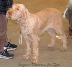 Filename=S-Tetrazzini.jpg
Filesize=54KiB
Dimensions=550x512
Date added=Sep 14, 2009 S-Tetrazzini.jpg