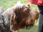 Filename=Penny.jpg
Filesize=49KiB
Dimensions=640x480
Date added=Sep 14, 2009 Penny.jpg