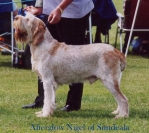 Dateiname=A-Nigel.jpg
Dateigröße=47KB
Abmessungen: 620x550
hinzugefügt am: 14. September 2009 A-Nigel.jpg