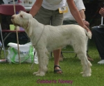 Filename=C Noney.jpg
Filesize=49KiB
Dimensions=500x415
Date added=Sep 14, 2009 C Noney.jpg