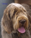 Dateiname=Jenna.jpg
Dateigröße=52KB
Abmessungen: 550x665
hinzugefügt am: 14. September 2009 Jenna.jpg