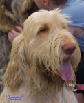 Filename=Renzo.jpg
Filesize=44KiB
Dimensions=550x673
Date added=Sep 14, 2009 Renzo.jpg
