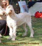 Filename=W-DressToKill.jpg
Filesize=48KiB
Dimensions=287x313
Date added=Sep 14, 2009 W-DressToKill.jpg
