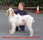 Filename=M-Isabella.jpg
Filesize=29KiB
Dimensions=300x274
Date added=Sep 14, 2009 M-Isabella.jpg