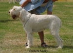 Filename=C Noney.jpg
Filesize=53KiB
Dimensions=550x396
Date added=Sep 14, 2009 C Noney.jpg