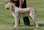 Filename=G Otto.jpg
Filesize=57KiB
Dimensions=550x382
Date added=Sep 14, 2009 G Otto.jpg