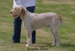 Filename=K Denys.jpg
Filesize=48KiB
Dimensions=550x374
Date added=Sep 14, 2009 K Denys.jpg