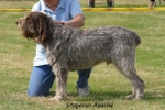 Filename=S Apache.jpg
Filesize=60KiB
Dimensions=550x370
Date added=Sep 14, 2009 S Apache.jpg
