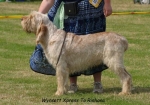 Filename=W Xpress.jpg
Filesize=60KiB
Dimensions=550x386
Date added=Sep 14, 2009 W Xpress.jpg
