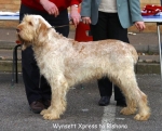 Filename=W-Xpress.jpg
Filesize=52KiB
Dimensions=550x444
Date added=Sep 14, 2009 W-Xpress.jpg