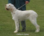 Filename=C Noney.jpg
Filesize=51KiB
Dimensions=550x450
Date added=Sep 14, 2009 C Noney.jpg