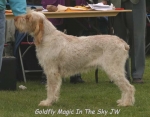 Filename=G Magic.jpg
Filesize=50KiB
Dimensions=550x429
Date added=Sep 14, 2009 G Magic.jpg