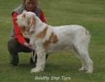 Filename=G StarTurn.jpg
Filesize=48KiB
Dimensions=550x430
Date added=Sep 14, 2009 G StarTurn.jpg