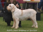 Filename=G StarsSymphony.jpg
Filesize=50KiB
Dimensions=550x412
Date added=Sep 14, 2009 G StarsSymphony.jpg