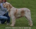 Filename=H CalamityJane.jpg
Filesize=53KiB
Dimensions=550x443
Date added=Sep 14, 2009 H CalamityJane.jpg