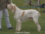 Filename=J Claudio.jpg
Filesize=47KiB
Dimensions=550x415
Date added=Sep 14, 2009 J Claudio.jpg