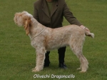Filename=O Dragoncella.jpg
Filesize=47KiB
Dimensions=550x412
Date added=Sep 14, 2009 O Dragoncella.jpg