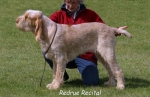Filename=R Recital.jpg
Filesize=56KiB
Dimensions=550x356
Date added=Sep 14, 2009 R Recital.jpg