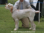 Filename=W Antaeus.jpg
Filesize=54KiB
Dimensions=550x420
Date added=Sep 14, 2009 W Antaeus.jpg